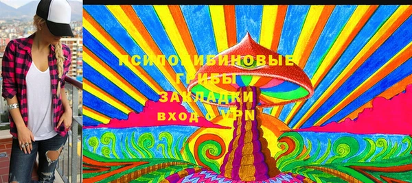 молекула духа Балахна