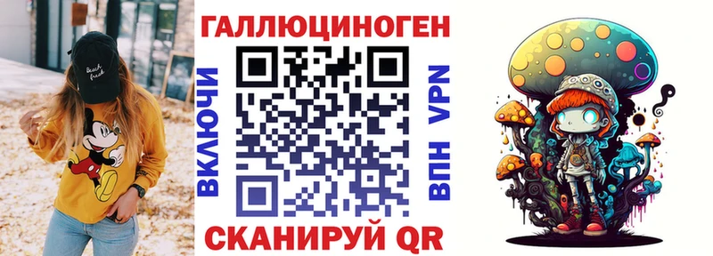Купить  Ленинск-Кузнецкий  Псилоцибиновые грибы MAGIC MUSHROOMS 